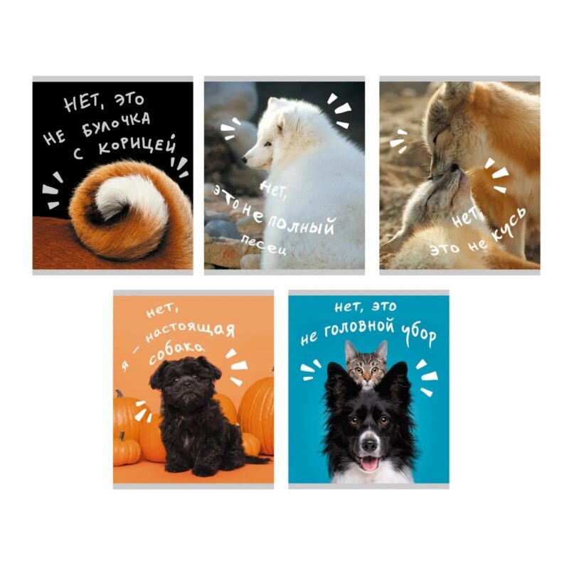 Тетрадь в клетку Listoff, "Показалось", 96 листов, в ассортименте