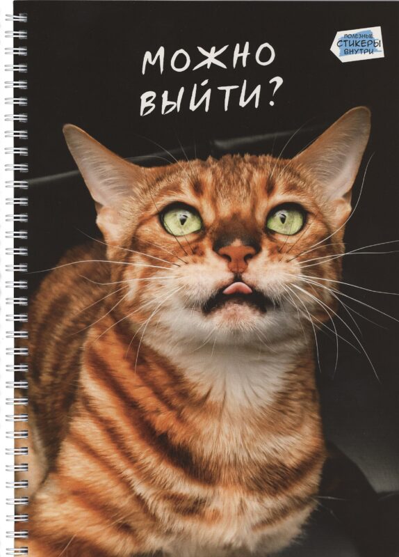 Тетрадь А4 80л кл. "Котики" мел.картон, твин-лак, наклейки, евроспираль