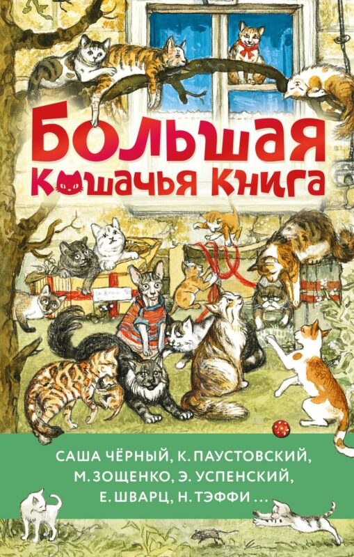Большая кошачья книга