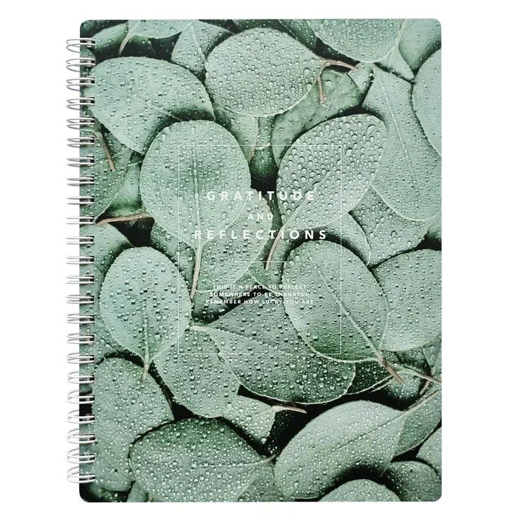 Тетрадь в клетку Be Smart, "Botanica. Эвкалипт популус", 120 листов