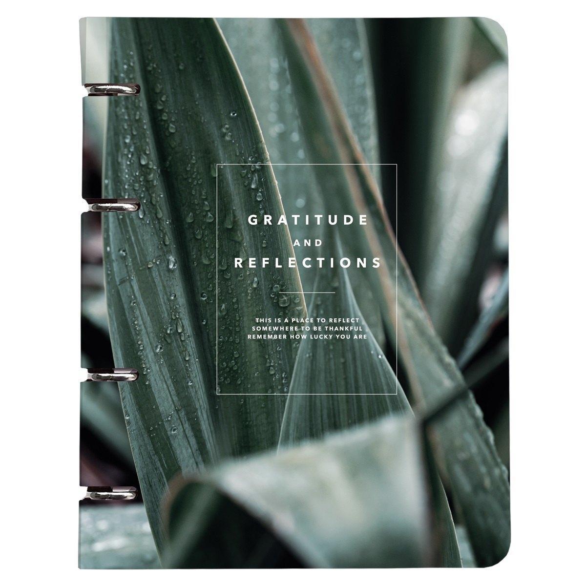 Тетрадь на кольцах в клетку Be Smart, "Botanica. Агава", 80 листов