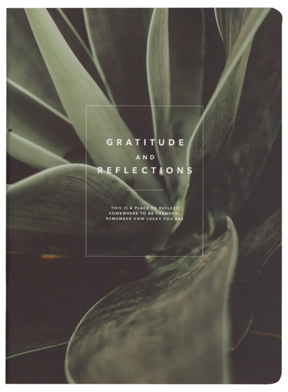 Тетрадь в клетку Be Smart, "Botanica. Сансевиерия", 48 листов