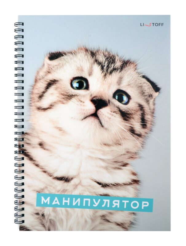 Тетрадь в клетку Listoff, "Характер котика", А4, 80 листов