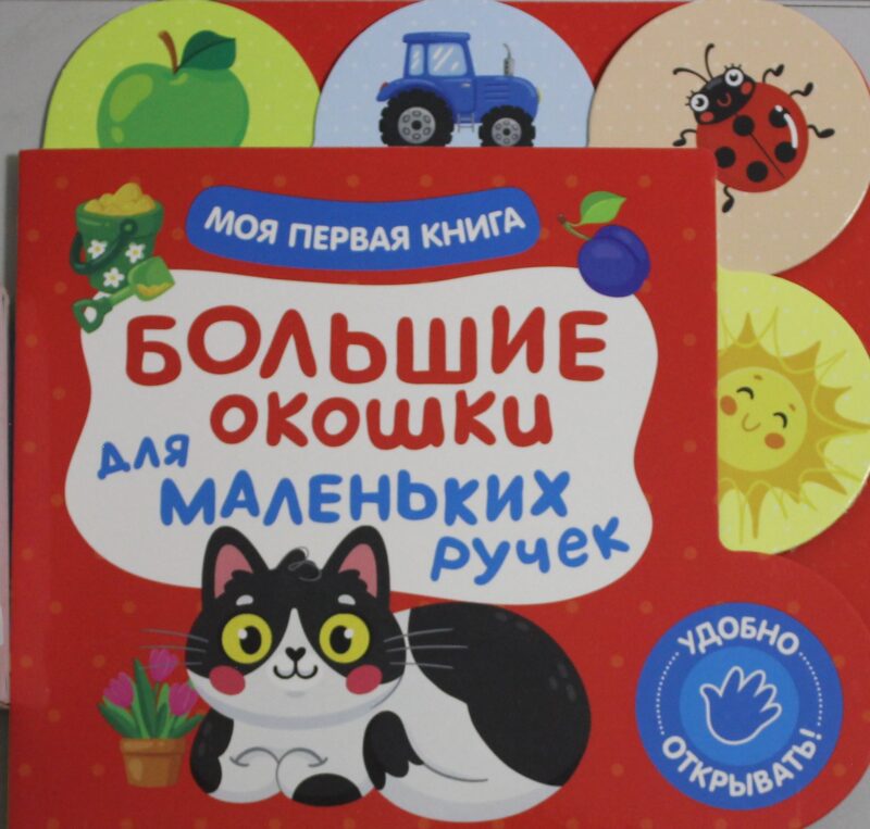 Большие окошки для маленьких ручек. Моя первая книга