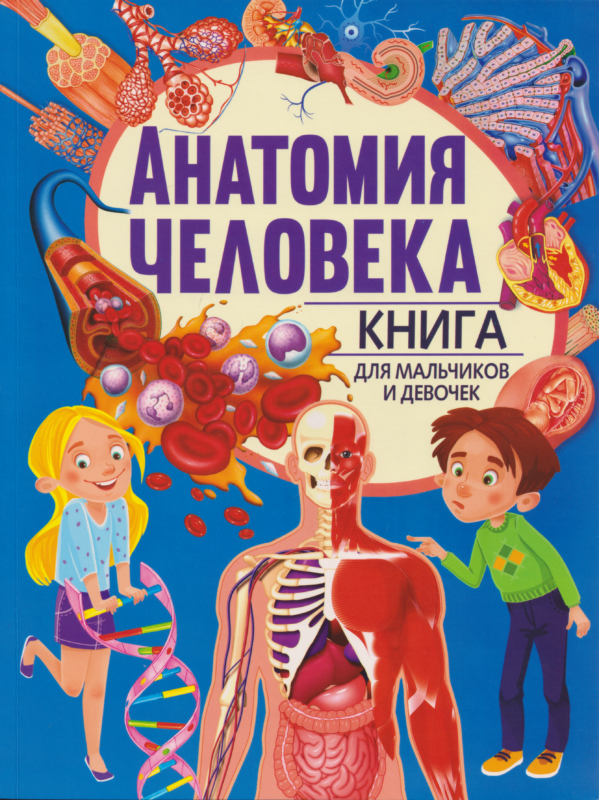 Анатомия человека. Книга для мальчиков и девочек(обложка)