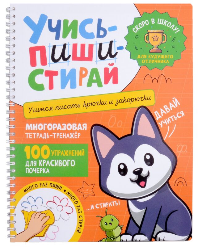 Учись–пиши–стирай. Многоразовая тетрадь-тренажер. Учимся писать крючки и закорючки. 100 упражнений для красивого почерка