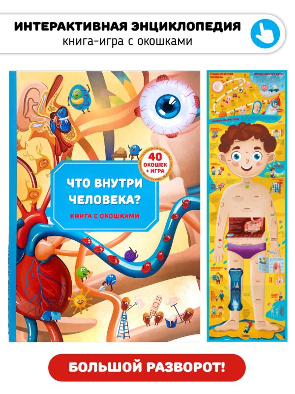 Книга с окошками "Что внутри человека?"