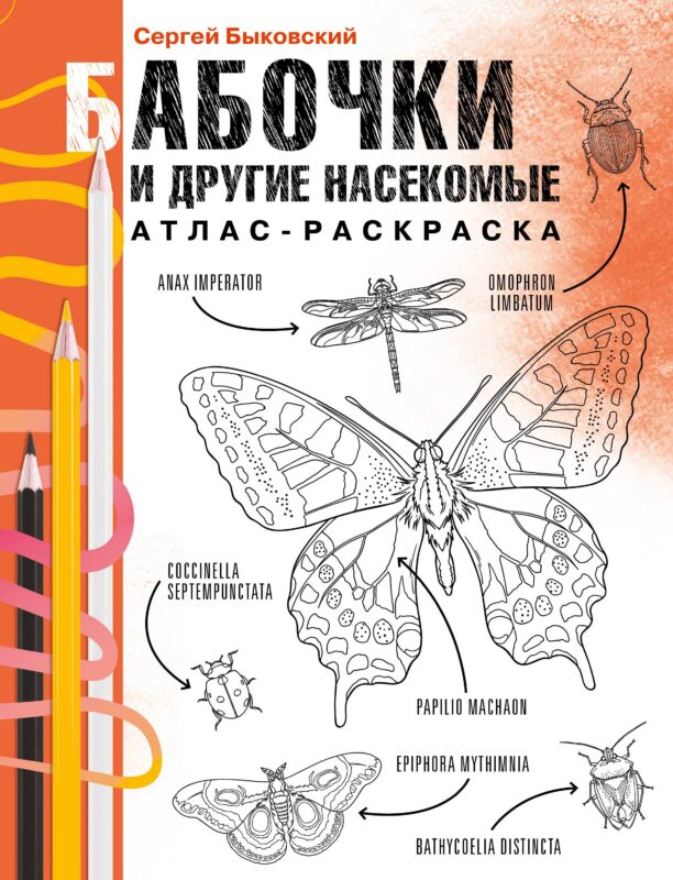 Бабочки и другие насекомые