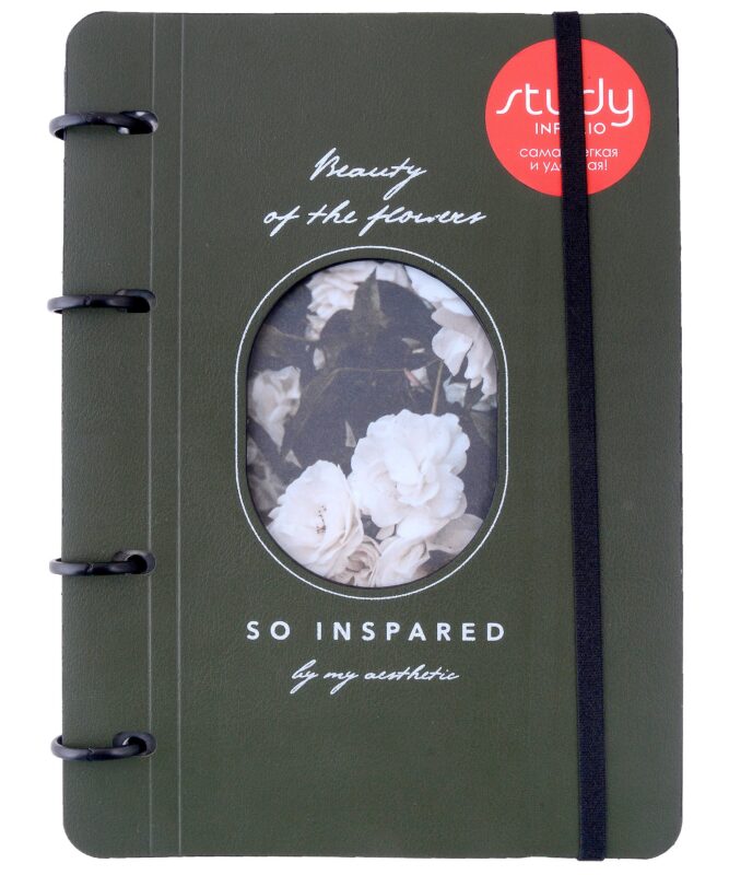 Тетрадь на кольцах в клетку Infolio, Beauty, 120 листов