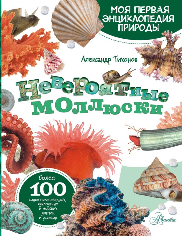 Моллюски, кораллы, морские звезды, морские ежи