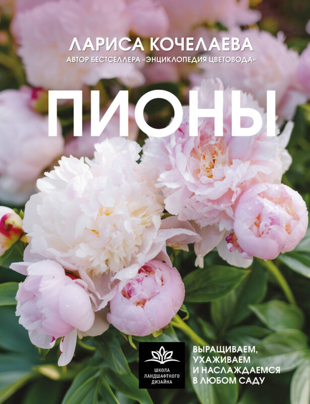 Пионы. Выращиваем, ухаживаем и наслаждаемся в любом саду