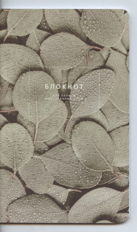 Тетрадь для записи иностранных слов Be Smart, "Botanica. Эвкалипт популус", А5, 48 листов