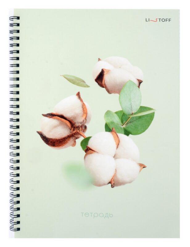 Тетрадь в клетку Listoff, "Невесомость", А4, 80 листов