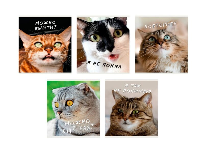 Тетрадь в клетку Listoff, "Котики", 96 листов