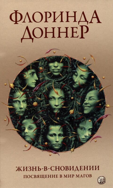 Жизнь в сновидении: Посвящение в мир магов
