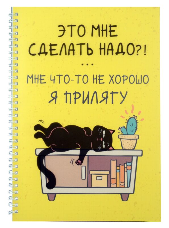 Тетрадь в клетку Listoff, "День кота (Эксклюзив)", А4, 60 листов, двойная обложка