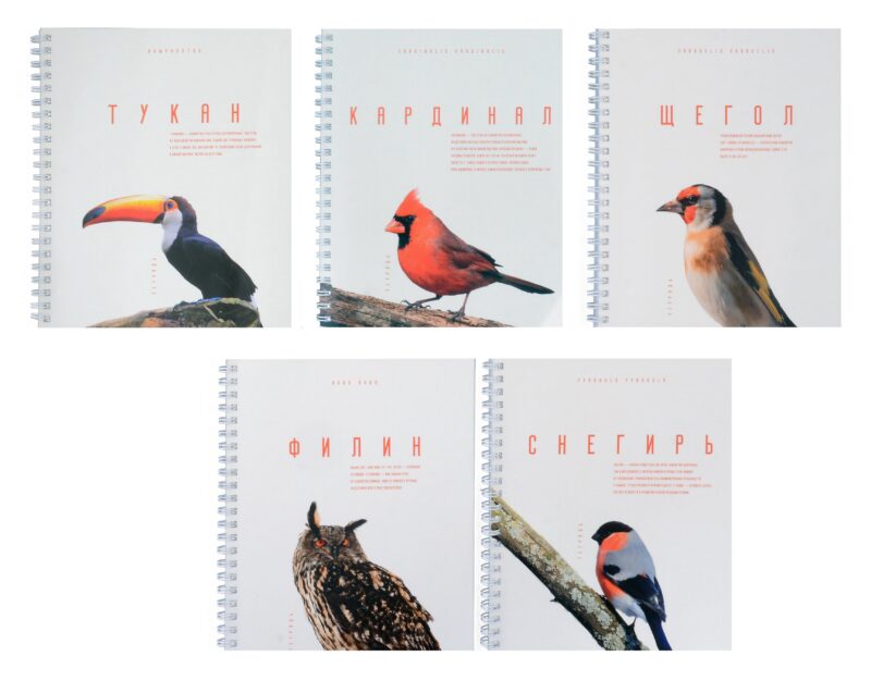 Тетрадь в клетку Listoff, "Красивые птицы", 96 листов, в ассортименте