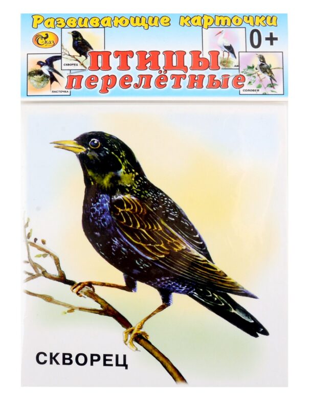 Развивающие карточки Птицы перелетные (0+) (12 карточек)