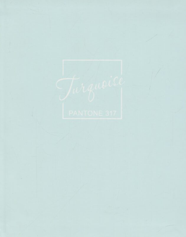 Книга для записей А5+ 96л кл. "Turquoise" интеграл.перепл., матов.ламин., выб.лак.