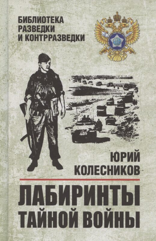 Лабиринты тайной войны (12+)