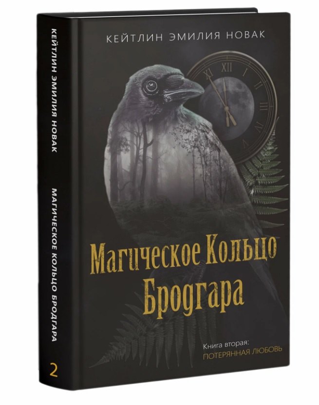 Магическое кольцо Бродгара. Книга вторая. Потерянная любовь
