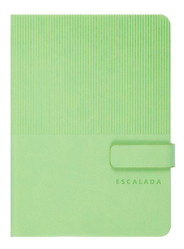 Ежедневник недат. А6+ 120л "Виннер" салатовый, кожзам, тв.переплет, блинтовое тиснение, магнит.клапан, офсет, ляссе
