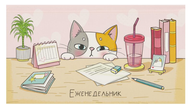 Планинг недат. 2025г. 64л 165*90 "КОТ-ШКОДА" карманный, тв.переплет, обл.картон, мат.ламинация, офсет