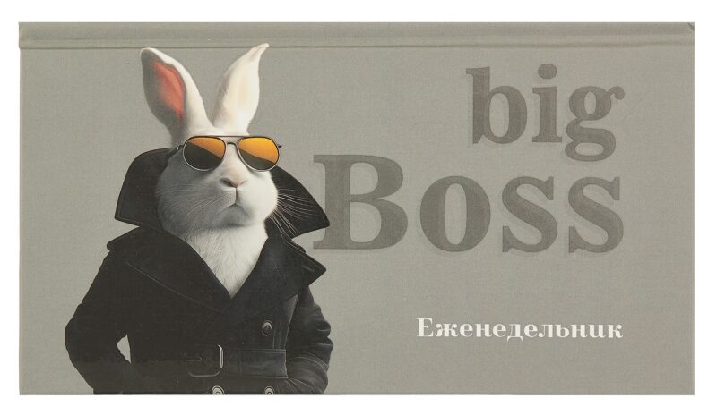 Планинг недат. 2025г. 64л 165*90 "БИГ-БОСС" карманный, тв.переплет, обл.картон, мат.ламинация, офсет