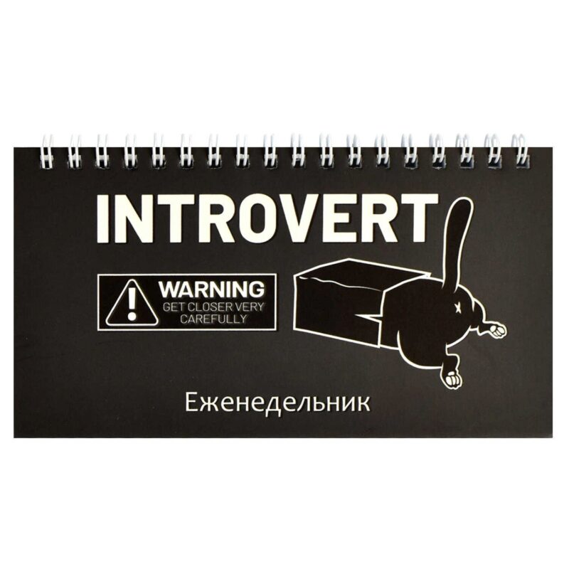 Планинг недат. 2025г. 64л 165*90 "КОТ-ИНТРОВЕРТ" карманный, мягк.переплет, обл.картон, мат.ламинация, офсет