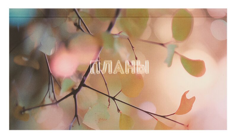 Планинг недатированный 64 листа, "Поэзия дней", карманный, покрытие Soft Touch