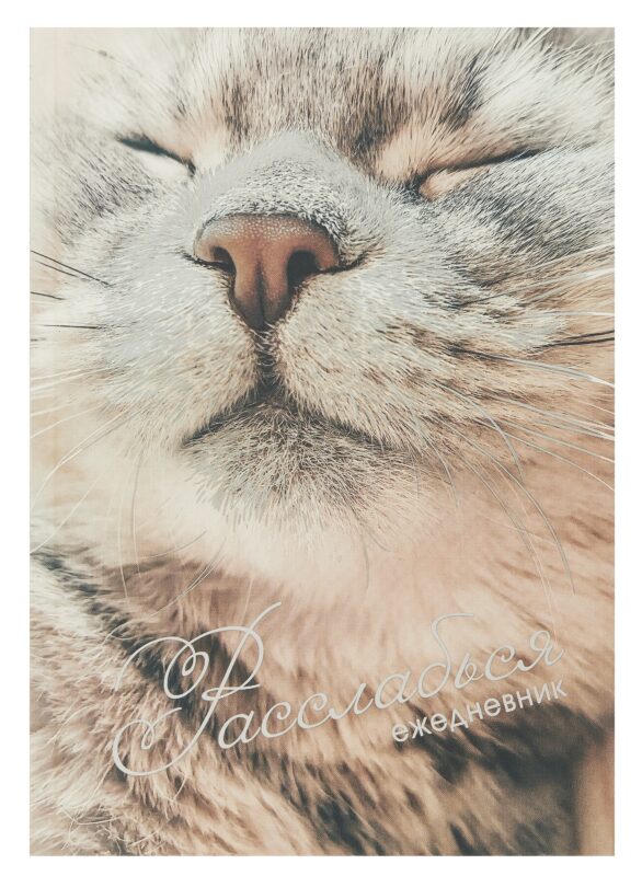 Ежедневник недатированный А5 128 листов, "Расслабься", ламинация Soft Touch