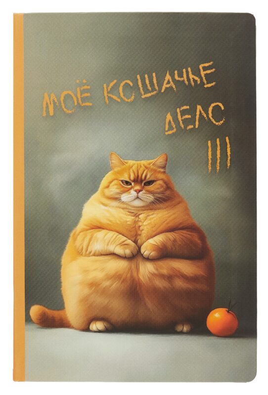 Блокнот "Рыжий кот"