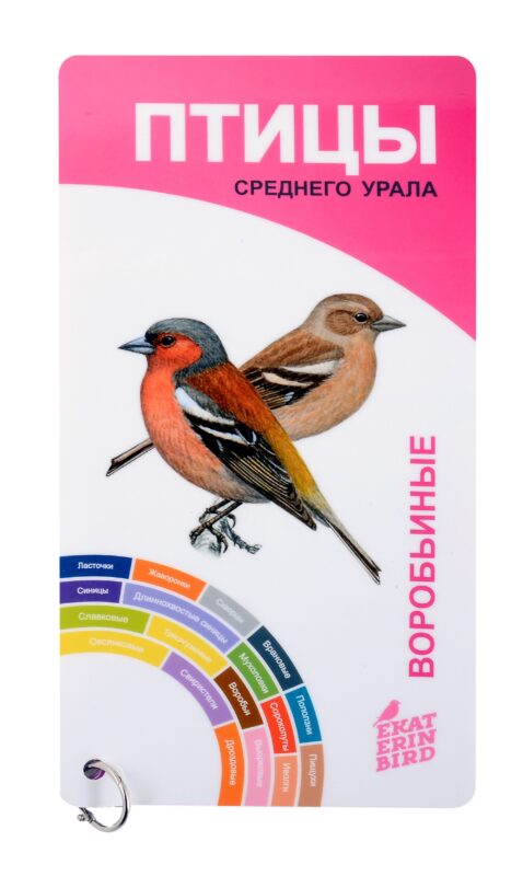 Птицы Среднего Урала. Воробьиные и неворобьиные.