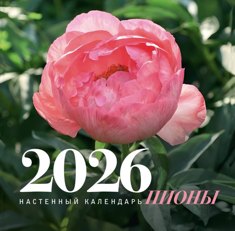 Календарь 2026г. 300*300 Пионы. Настенный календарь, на скрепке