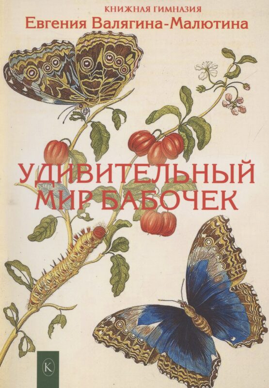 Удивительный мир бабочек