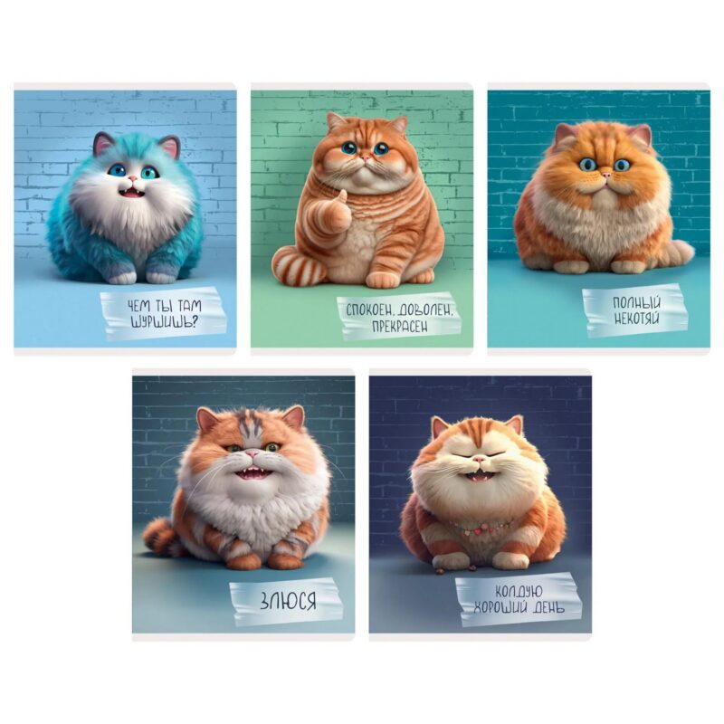 Тетрадь 48л кл. "Осторожно, кот!" мелов.картон, глянц.ламинция, многоуровн.конгрев, скругл.углы, ассорти