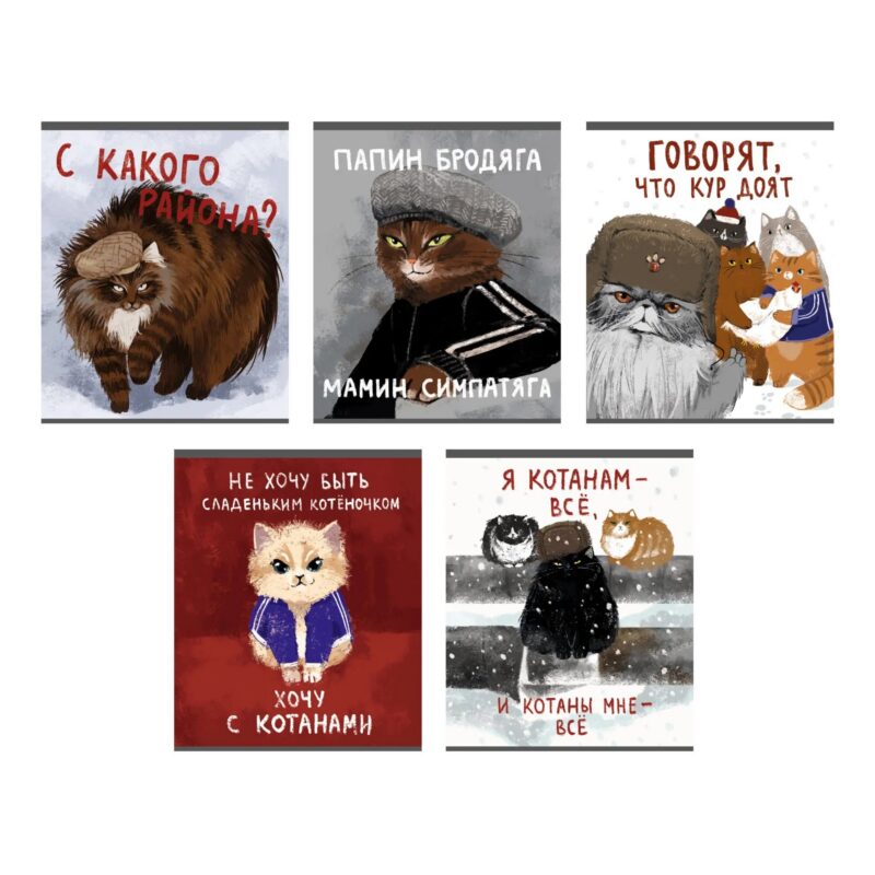 Тетрадь в клетку "Возвращение котанов", 48 листов, в ассортименте