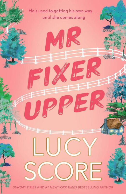 Mr. Fixer Upper