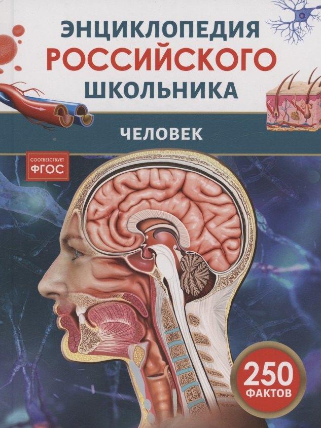 Человек. 250 фактов. Энциклопедия российского школьника