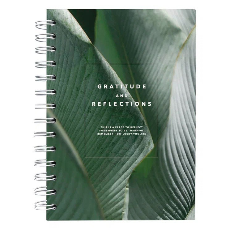 Тетрадь 120л тчк. "Botanica", пальма, 7БЦ, ламинация, спираль