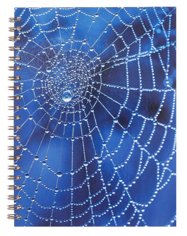 Тетрадь А4 120л лин. "Паутина" 7БЦ, евроспираль,глянц.ламин.