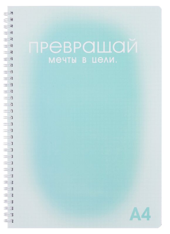 Тетрадь в клетку "Мечты и цели", А4 100 листов