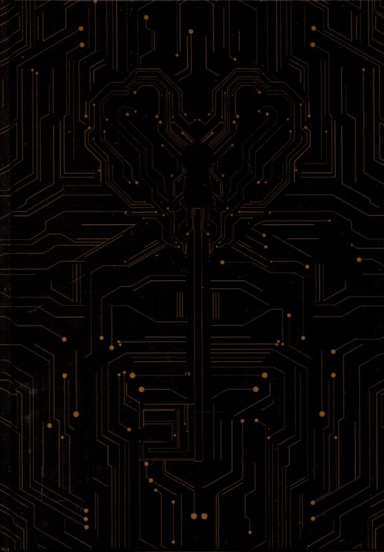 Моя миссия любовь