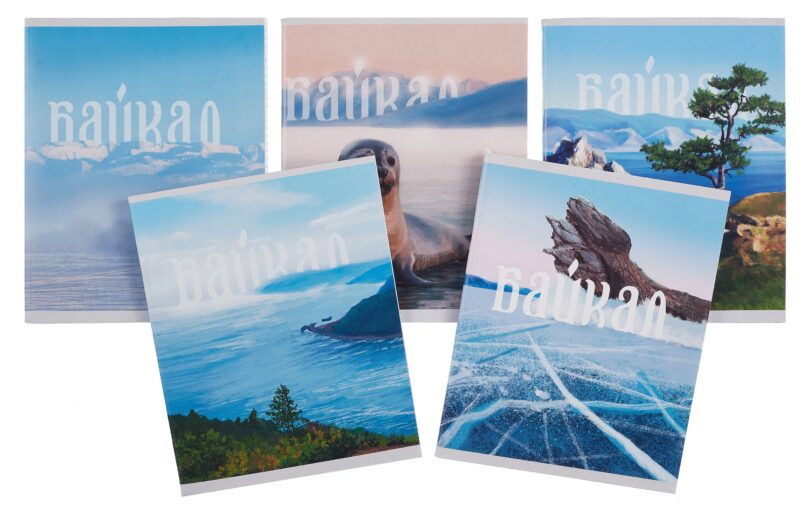 Тетрадь 96л кл. "Байкал" мел.картон, ассорти