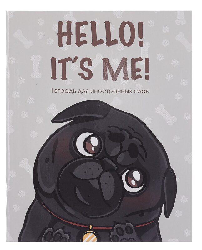 Тетрадь для записи иностр.слов А5 48л "Hello!" скрепка, мел.картон, глянц.ламинация