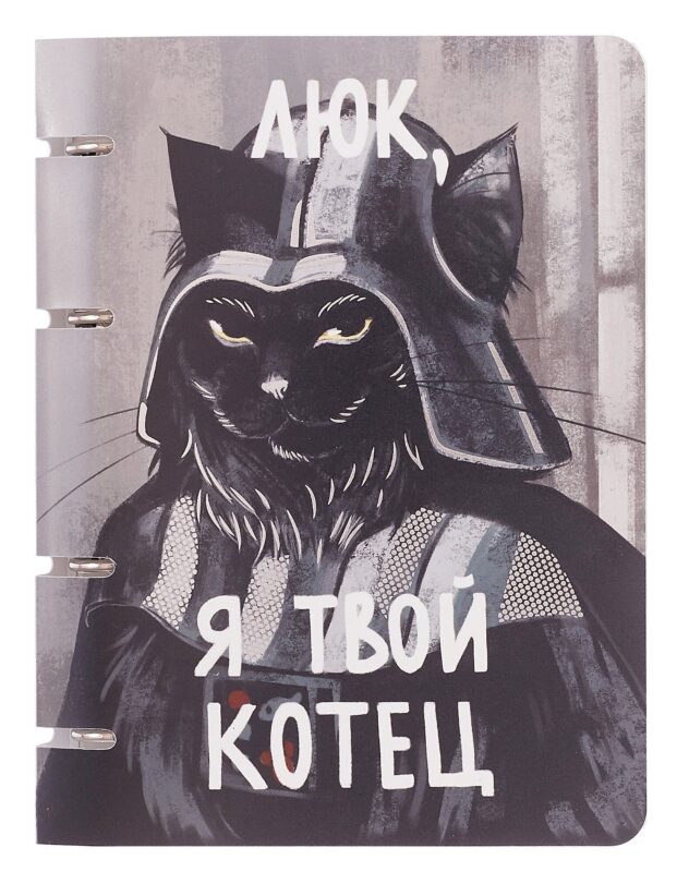 Тетрадь на кольцах в клетку "Котец", 100 листов