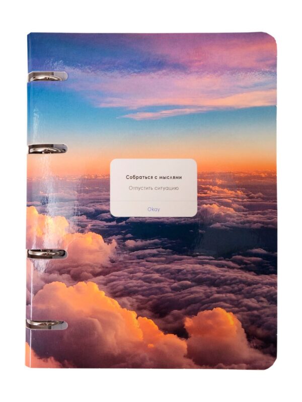 Тетрадь 80л кл. "Собраться с мыслями" на кольцах, мел.картон, глянц.ламинация, квадр.корешок, скругл.углы