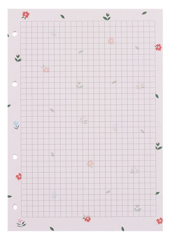 Сменный блок для тетрадей 50л кл. "Coquette" 70г/м2, инд.уп.