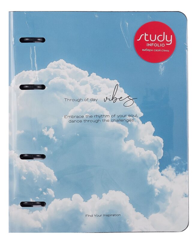 Тетрадь 120л кл. "Sky", облако, на кольцах, шелкография, обл. кож.зам