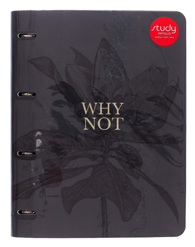 Тетрадь А4 120л кл. "Aesthetics", на кольцах, смен.блок, обл. кожзам, тиснение фольгой, инд.уп